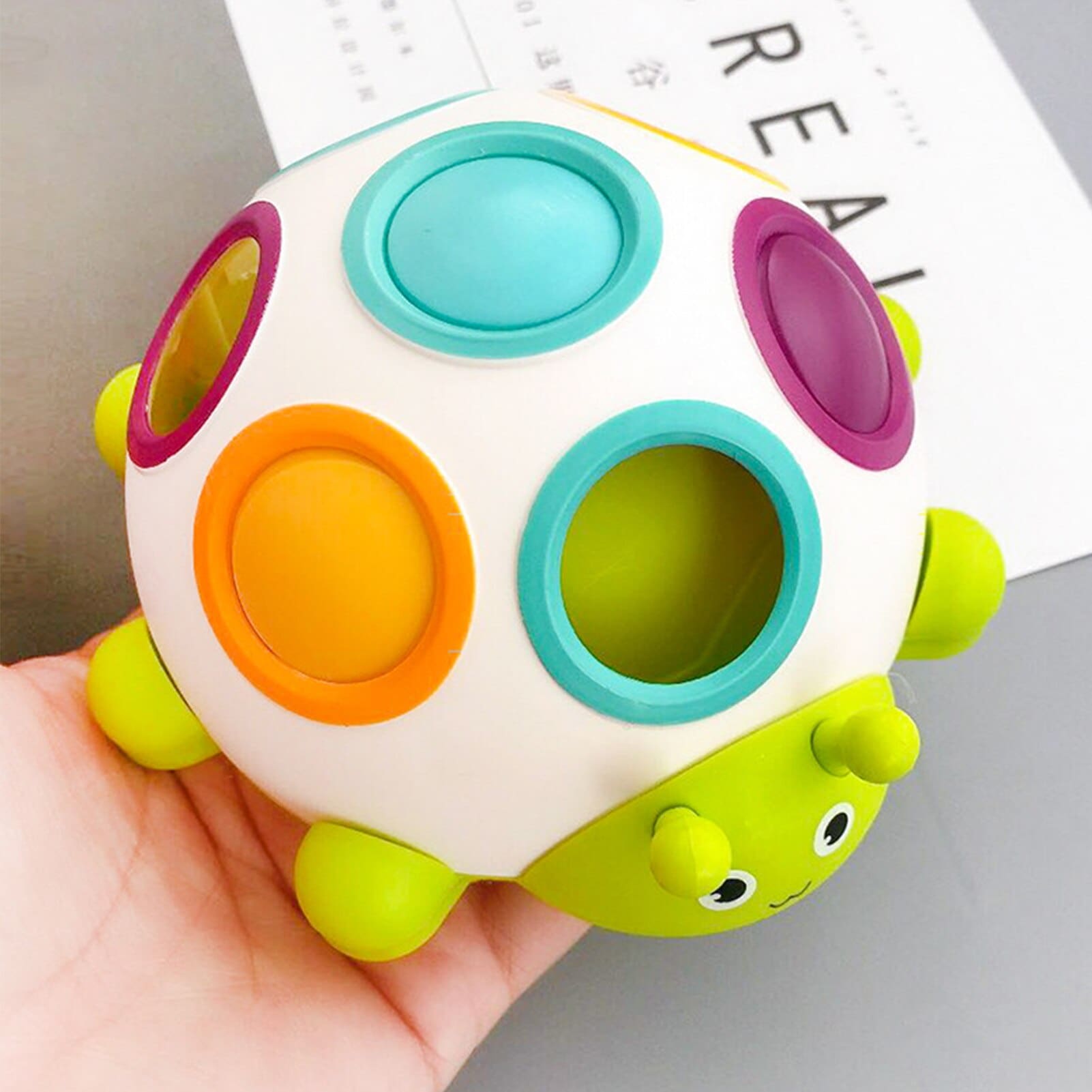 Turtle Baby Sensory Toy