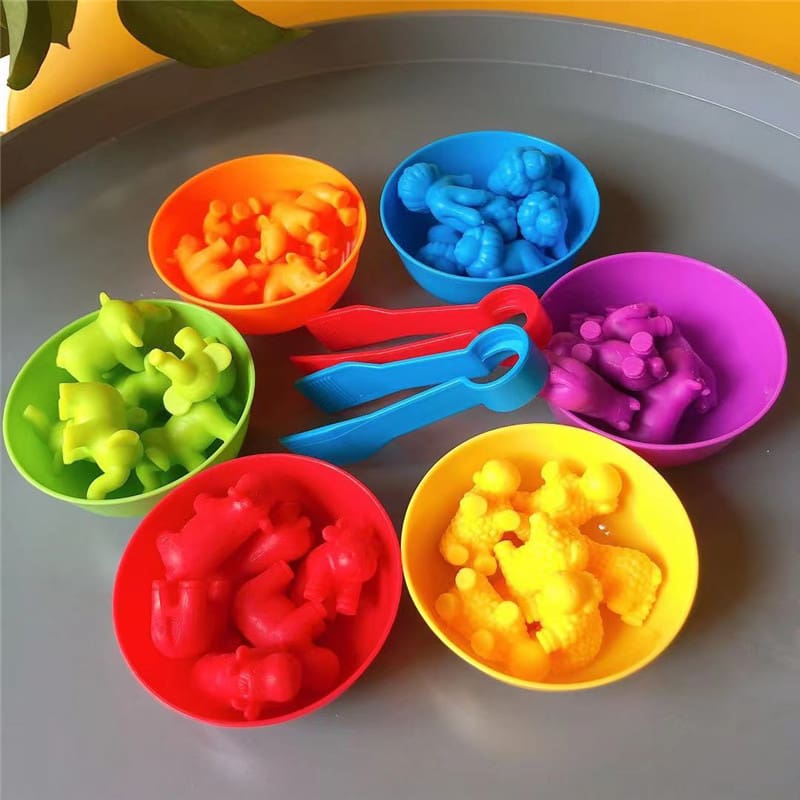 Montessori Color Sorting Toy for Kids