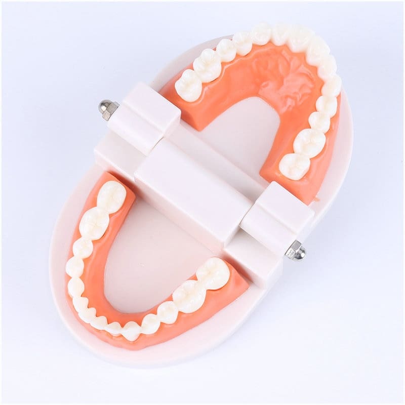 Brushing Tooth Montessori Educational Toy for Kids